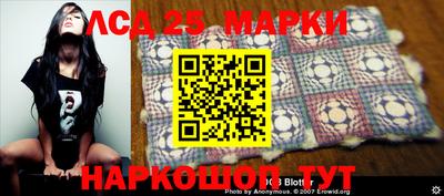 мяу мяу мука Апшеронск