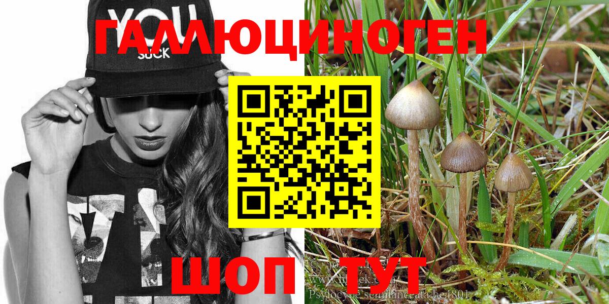 Псилоцибиновые грибы Magic Shrooms Великий Устюг